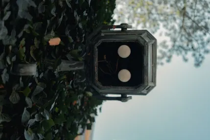 وينماسترز كازينو تطبيق الهاتف المحمول